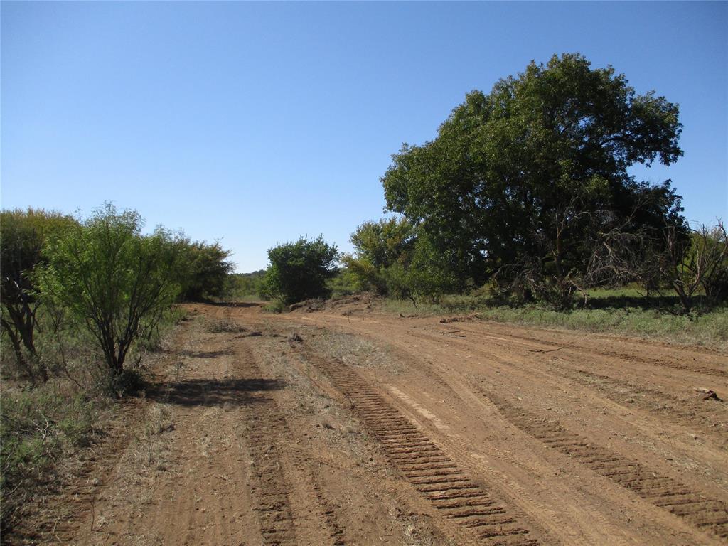 a view of dirt yard with large trees