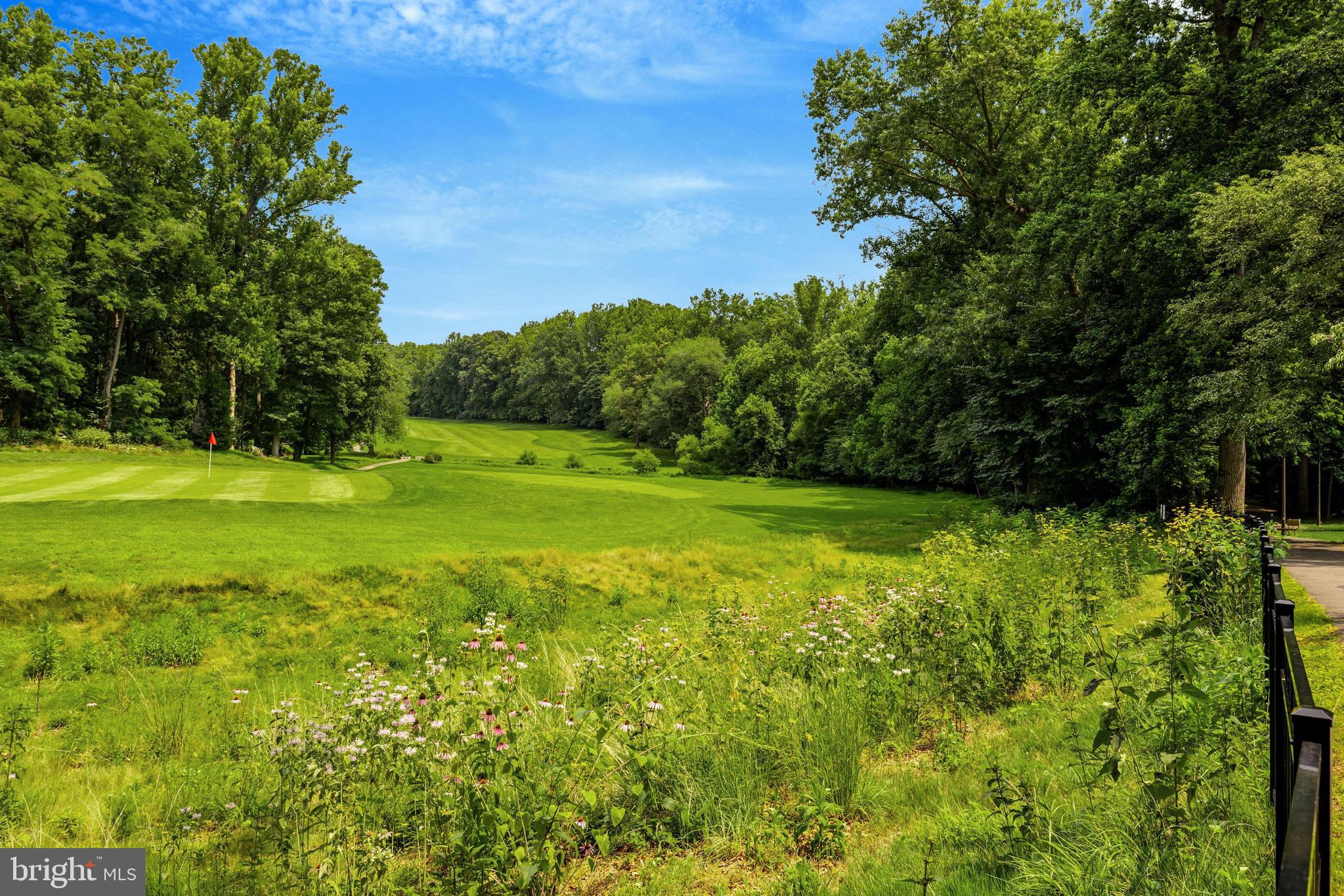 11640 Ivystone Court, Unit 2A2 Reston, VA 20191 - Photo 19 of 36 Golf Course