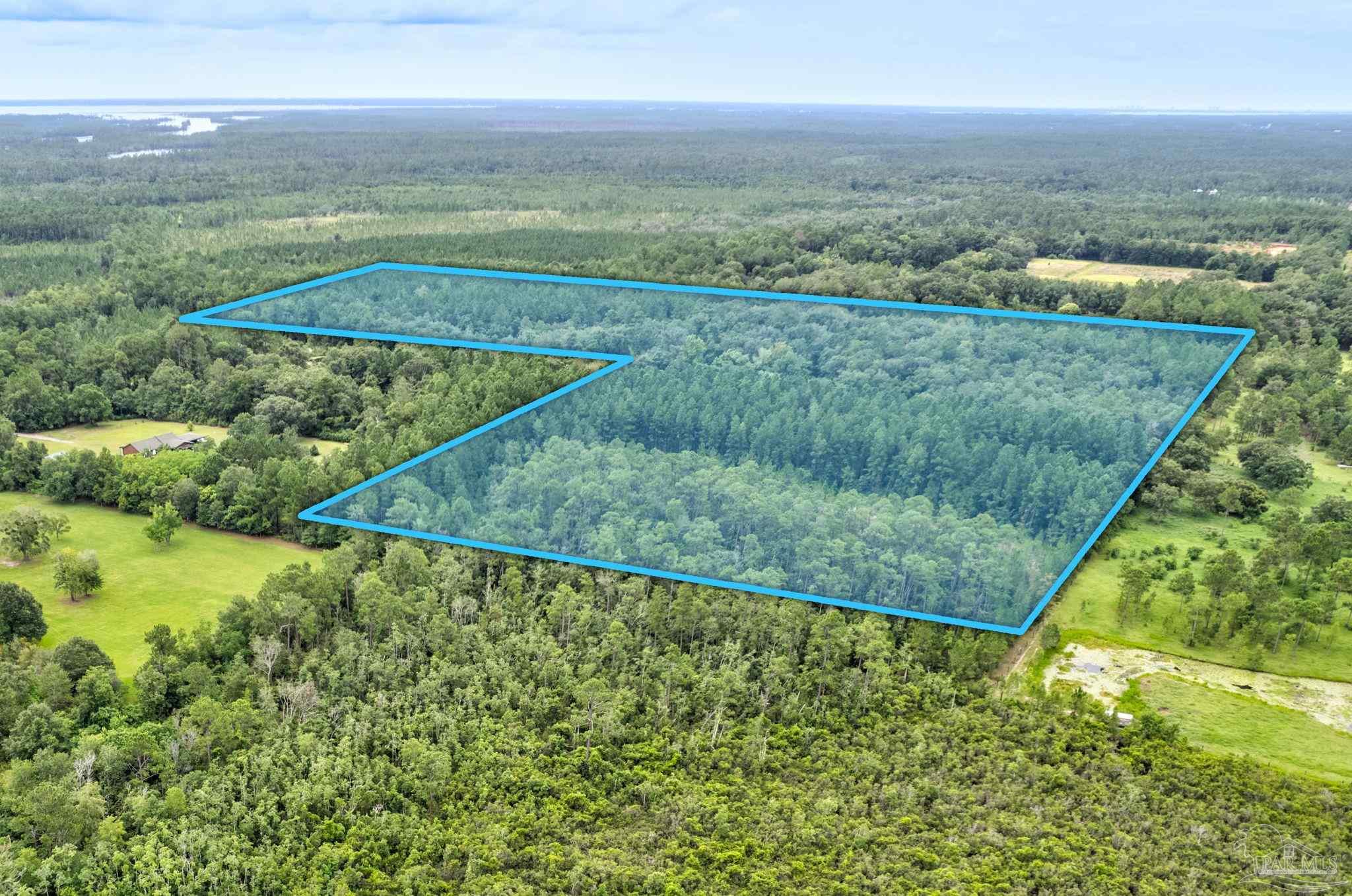 18873 3 Rivers Road Seminole, AL 36574 - Photo 8 of 15