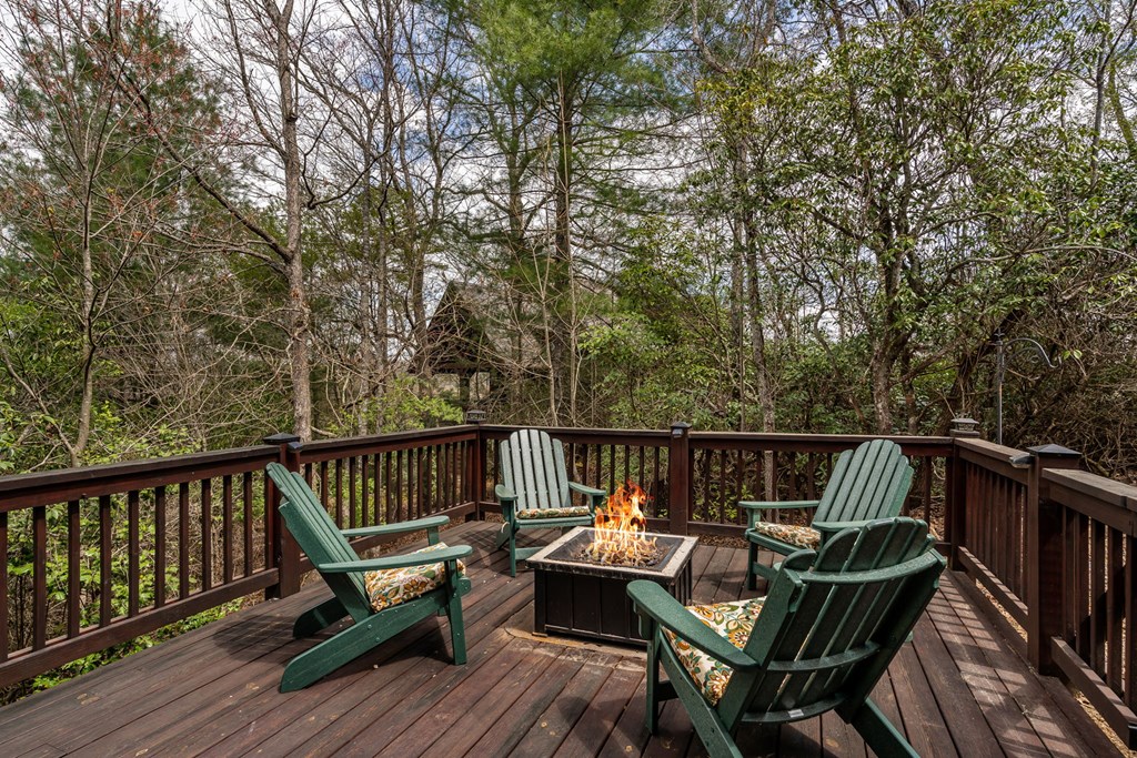 283 Black Gum Lane Blue Ridge, GA 30513 - Photo 51 of 56 Gallery Image 51