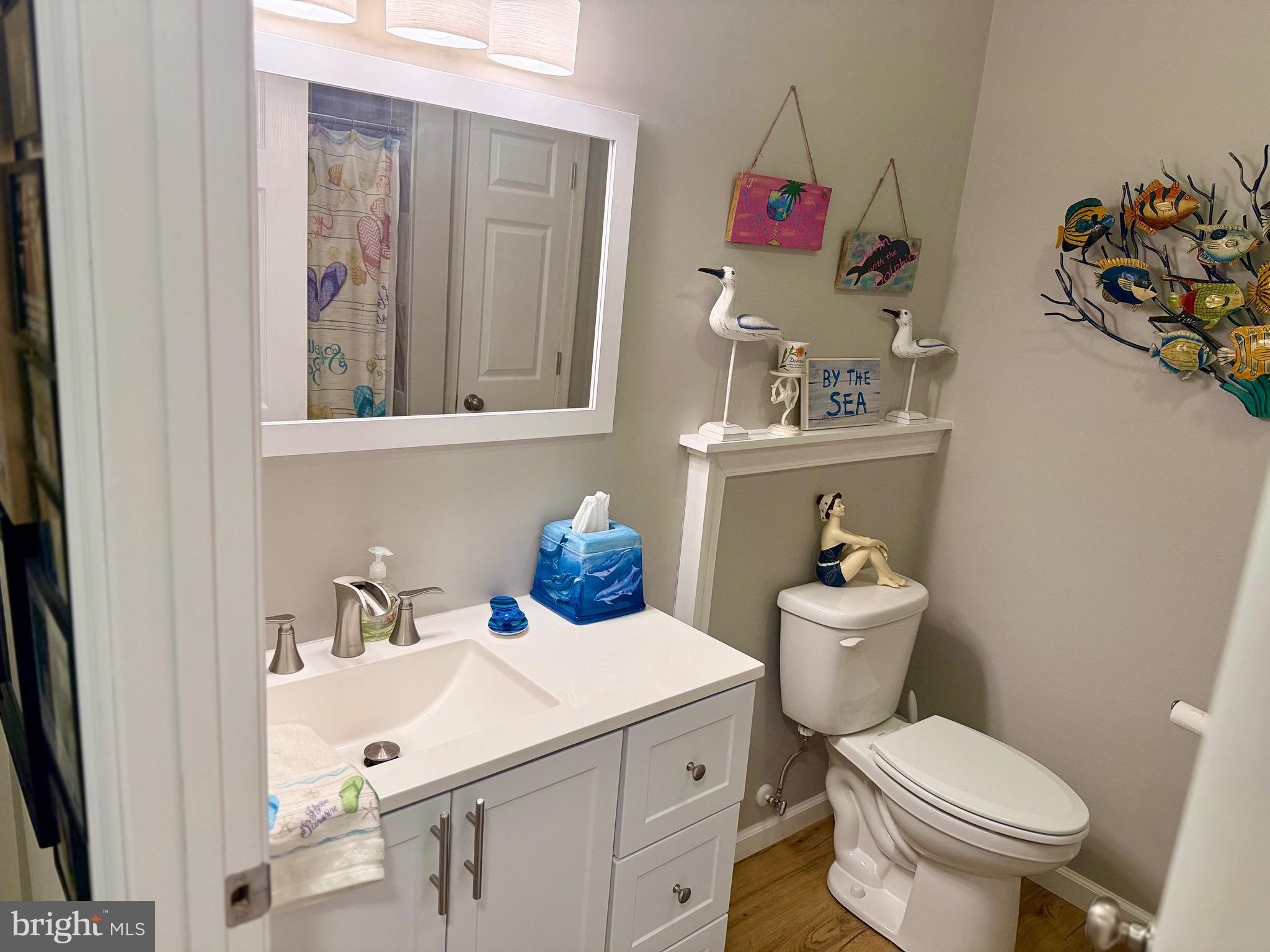 1157 Granny Smith Road Linden, VA 22642 - Photo 28 of 44 Lower level Full Bathroom