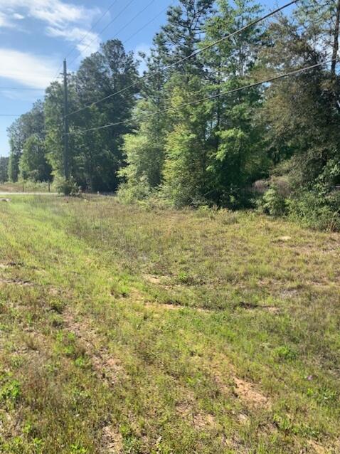 68 B Sand Hill Road Crestview, FL 32539 - Photo 2 of 7 a view of a yard with an trees