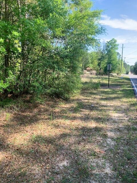68 B Sand Hill Road Crestview, FL 32539 - Photo 3 of 7 a view of a yard with plants and trees