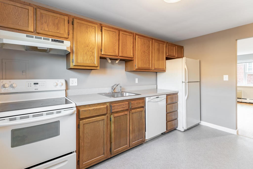 55 Colborne Road, Unit 4 Boston, MA 02135 - Photo 11 of 18 Gallery Image 11