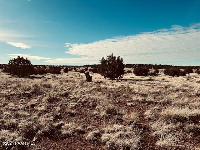 310- Dusty Rose Road Seligman, AZ 86337 - Photo 1 of 4 a view of a dry yard with wooden fence