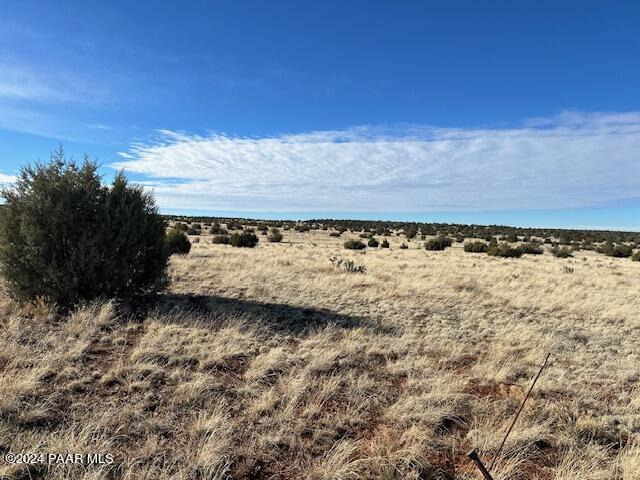 310- Dusty Rose Road Seligman, AZ 86337 - Photo 2 of 4 a view of a field with an ocean
