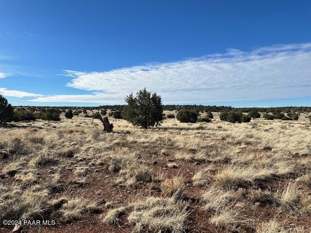 310- Dusty Rose Road Seligman, AZ 86337 - Photo 3 of 4 a view of a field of the snow