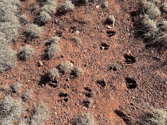 310- Dusty Rose Road Seligman, AZ 86337 - Photo 4 of 4