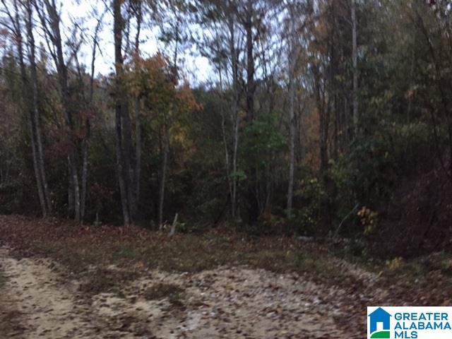Valley Rd Place, Unit 50 Goodwater, AL 35072 - Photo 3 of 5 Gallery Image 3