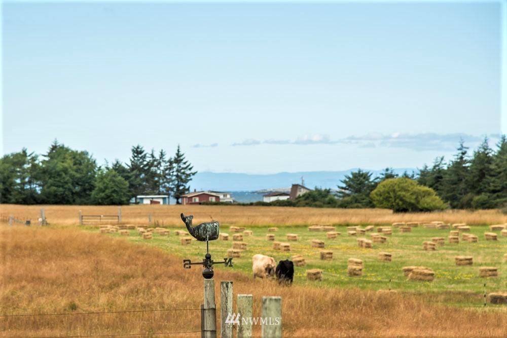 349 Tralnes Road Lopez Island, WA 98261 - Photo 18 of 25