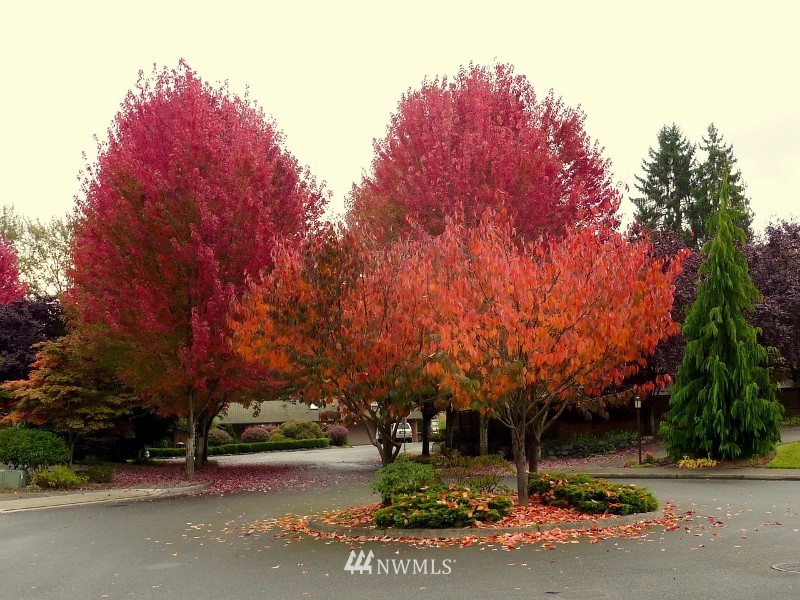 9412 Northeast 174th Place Bothell, WA 98011 - Photo 1 of 24