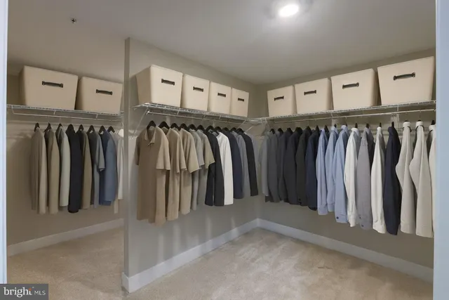 a view of walk in closet with clothes and shoes