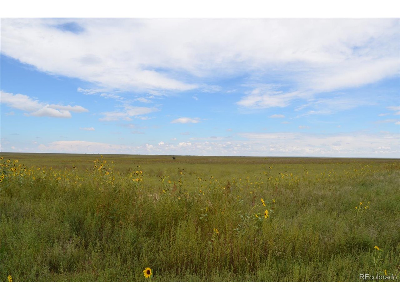 1 County Road West Rush, CO 80833 - Photo 2 of 5 a view of an ocean