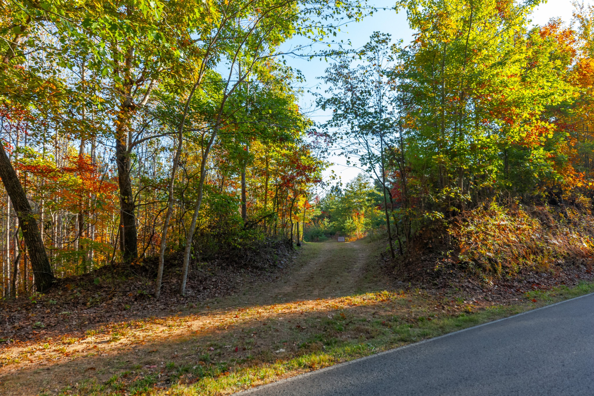 0 Overhead Bridge Road Hampshire, TN 38461 - Photo 54 of 62 Gallery Image 54