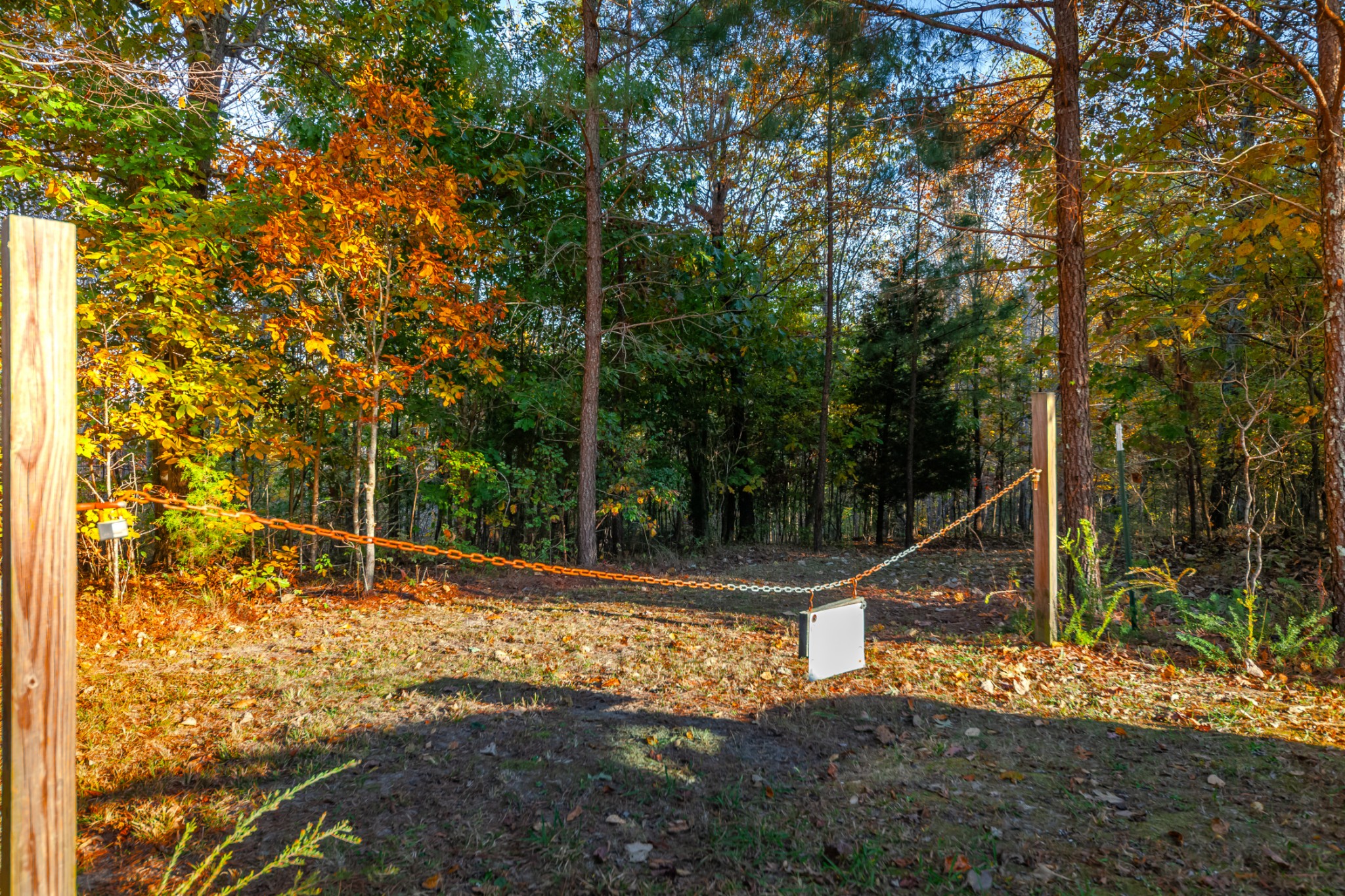 0 Overhead Bridge Road Hampshire, TN 38461 - Photo 61 of 62 Gallery Image 61
