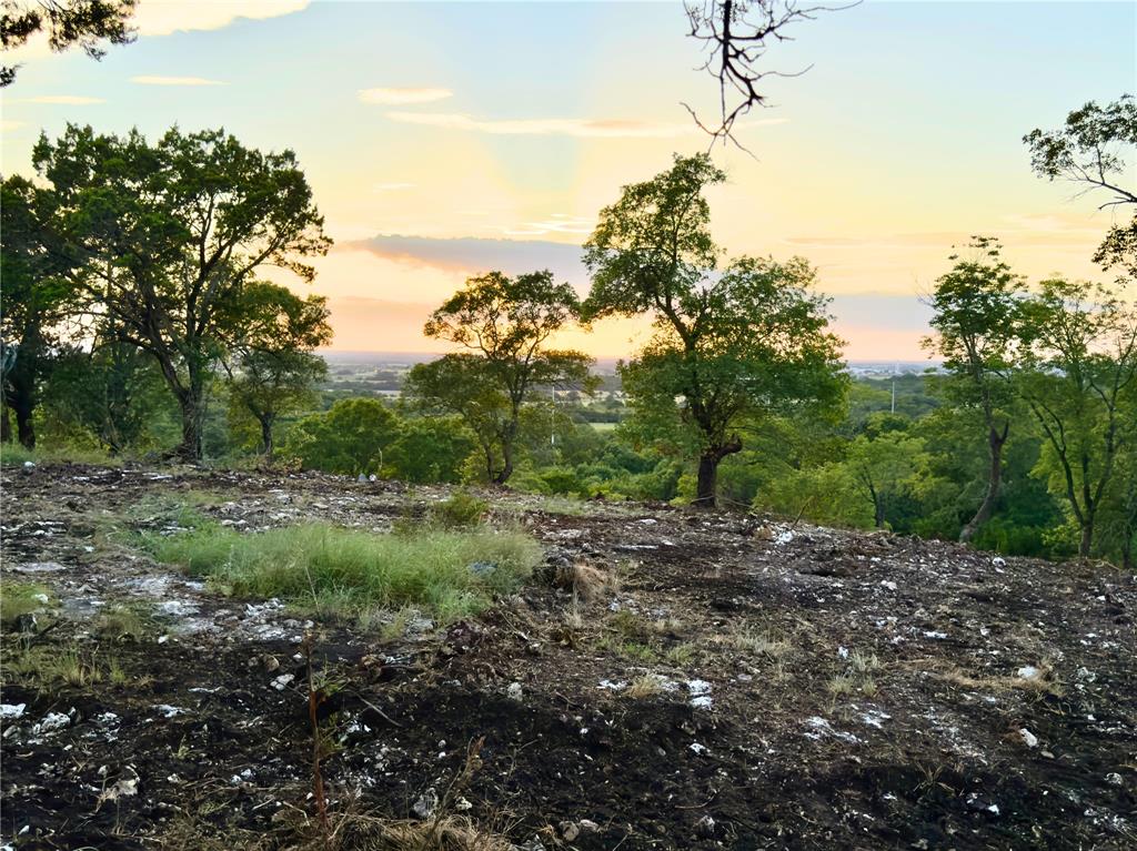 1011 Cedar Ridge Road Gatesville, TX 76528 - Photo 2 of 12 a big yard with lots of green space