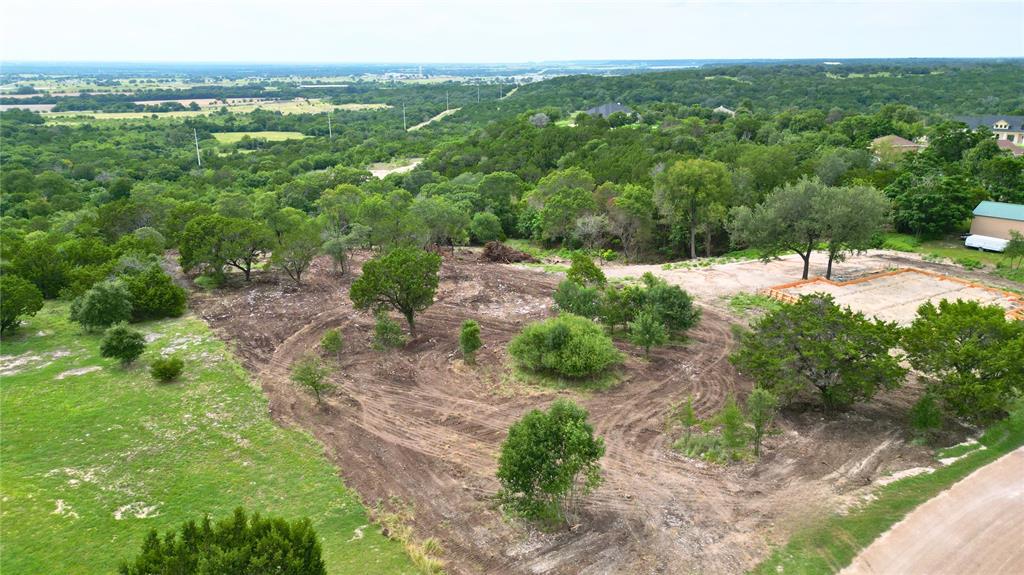 1011 Cedar Ridge Road Gatesville, TX 76528 - Photo 4 of 12 a view of a garden with mountains in the background