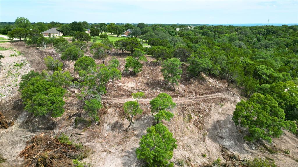 1011 Cedar Ridge Road Gatesville, TX 76528 - Photo 9 of 12 a view of a lush green forest with lots of trees