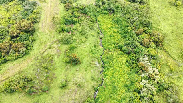 $1,700,000 | 973 Hana Highway, Haiku, HI 96708