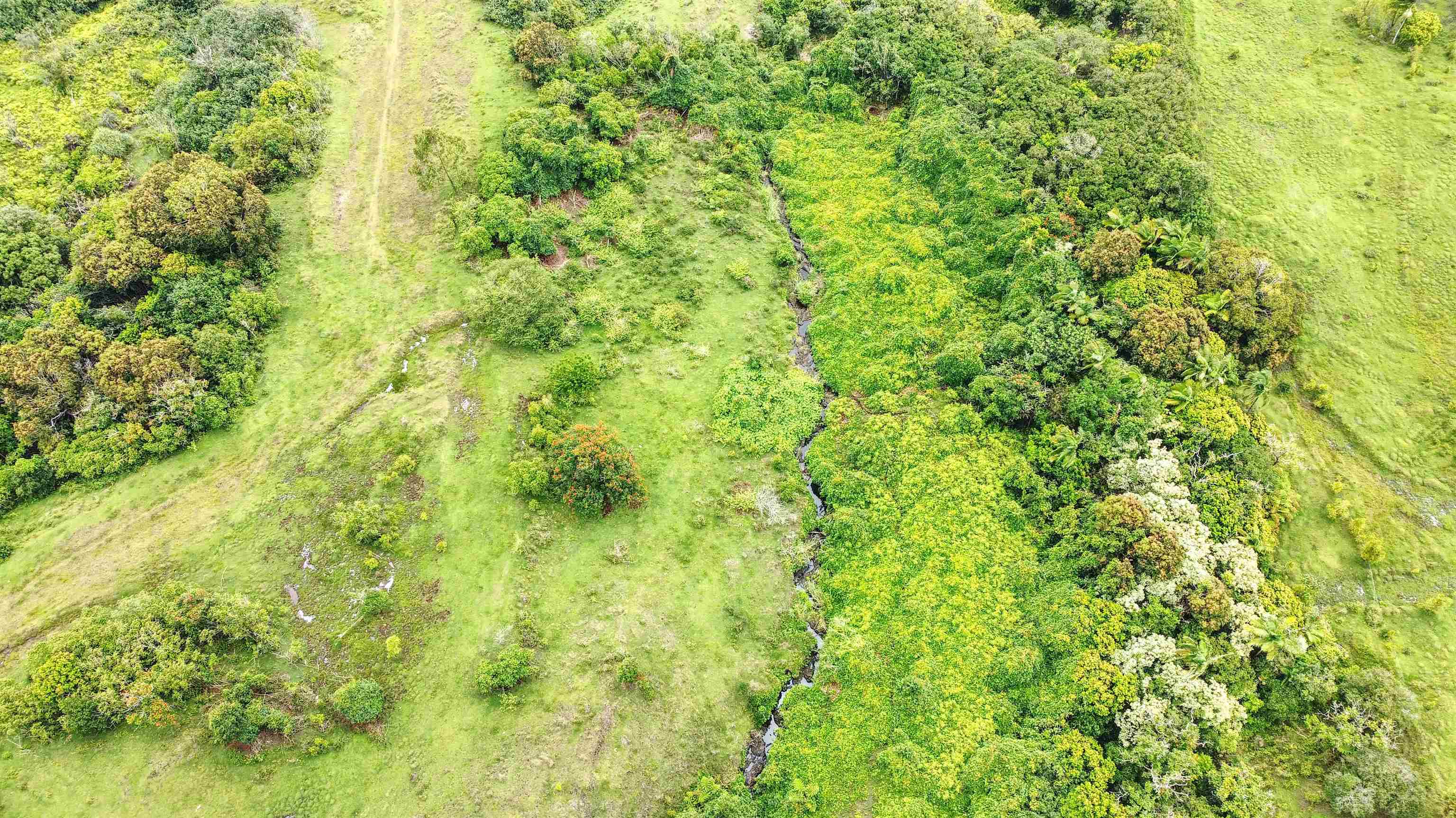 973 Hana Highway Hana, HI 96713 - Photo 4 of 16