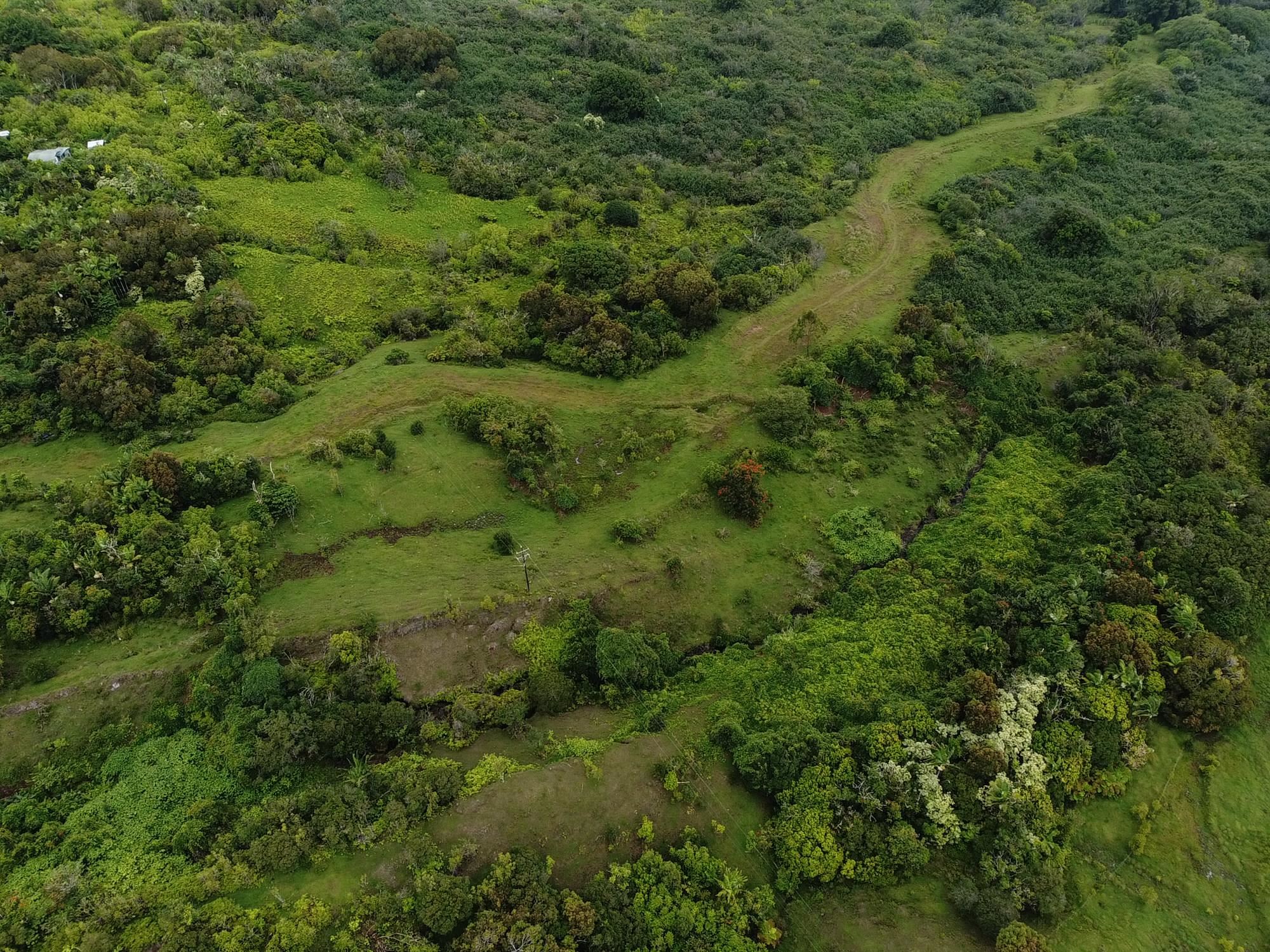 973 Hana Highway Hana, HI 96713 - Photo 5 of 16