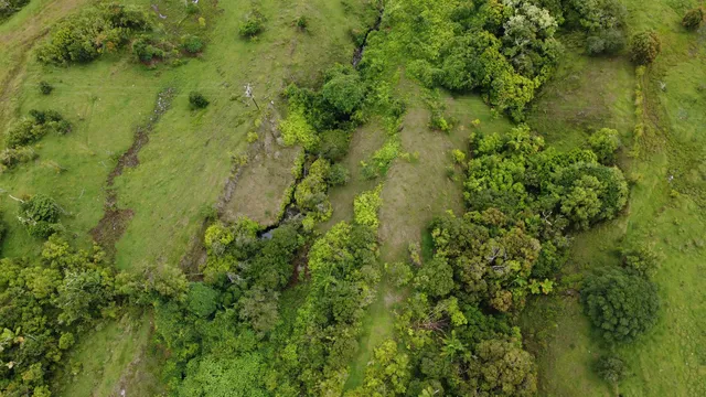 $1,700,000 | 973 Hana Highway, Haiku, HI 96708