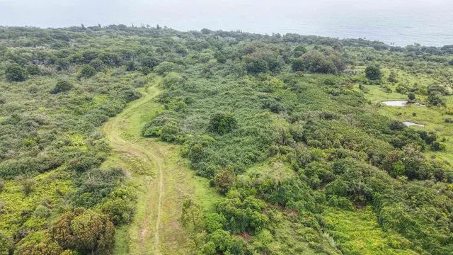 $1,700,000 | 973 Hana Highway, Haiku, HI 96708