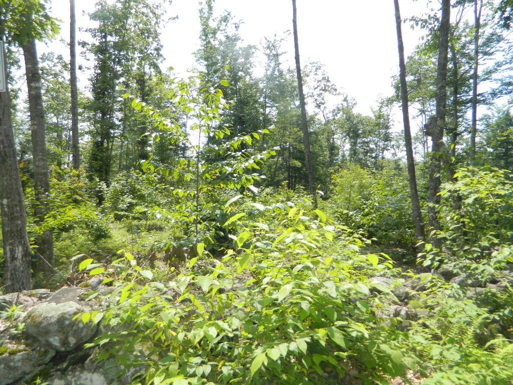 Lot 11-1 Avery Road Waterboro, ME 04087 - Photo 2 of 5 Lot 11