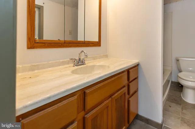 a bathroom with a sink and a toilet
