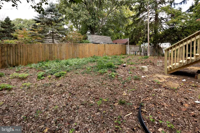 a view of a backyard with large trees and wooden fence