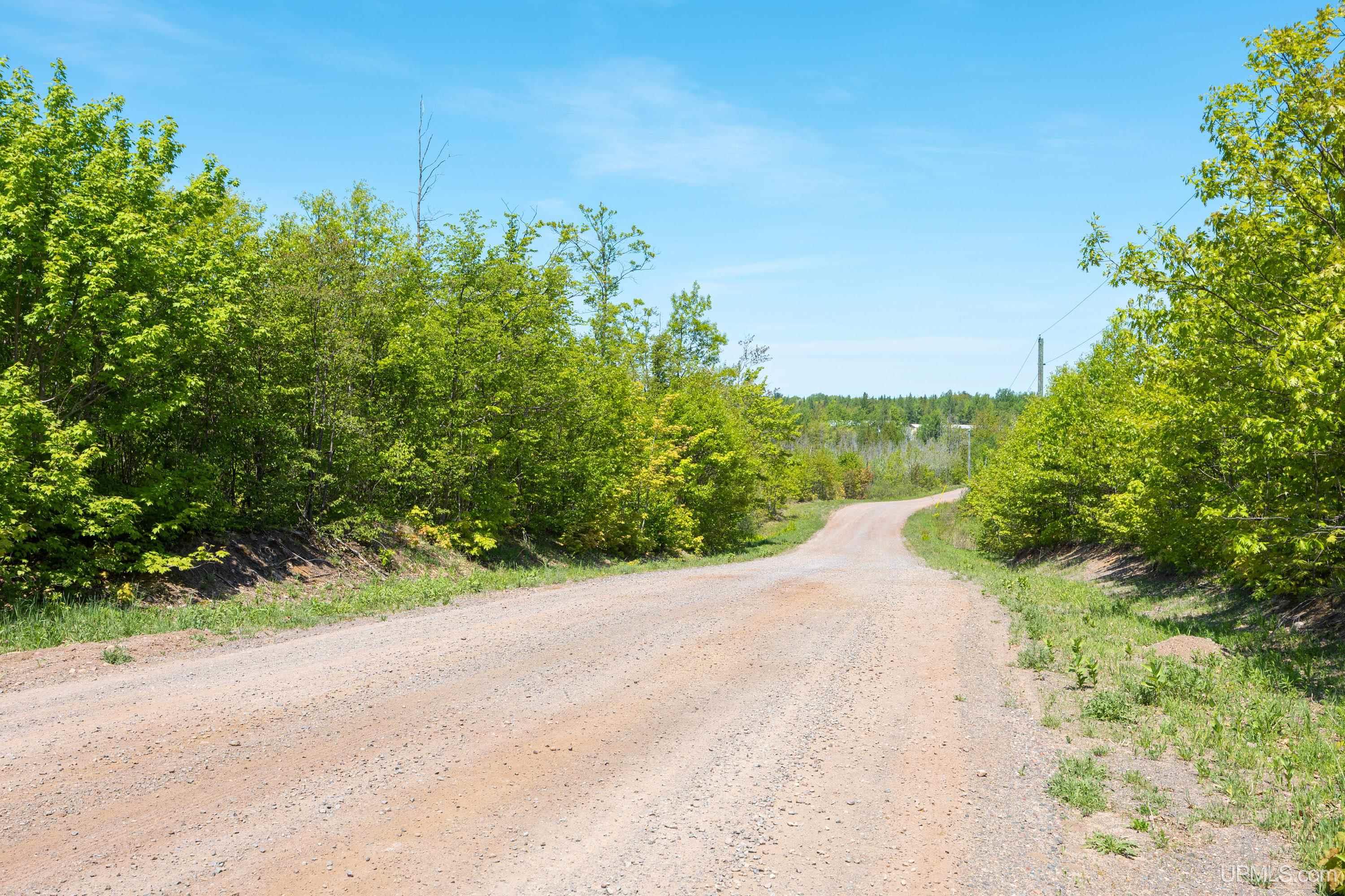 Lot 1 Airport Road, Unit CO RD 35B Calumet, MI 49913 - Photo 17 of 19
