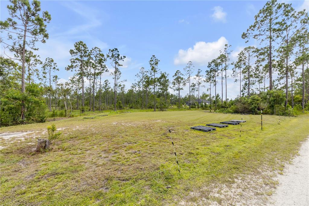 300 Omega Ranch Road Deltona, FL 32738 - Photo 4 of 95