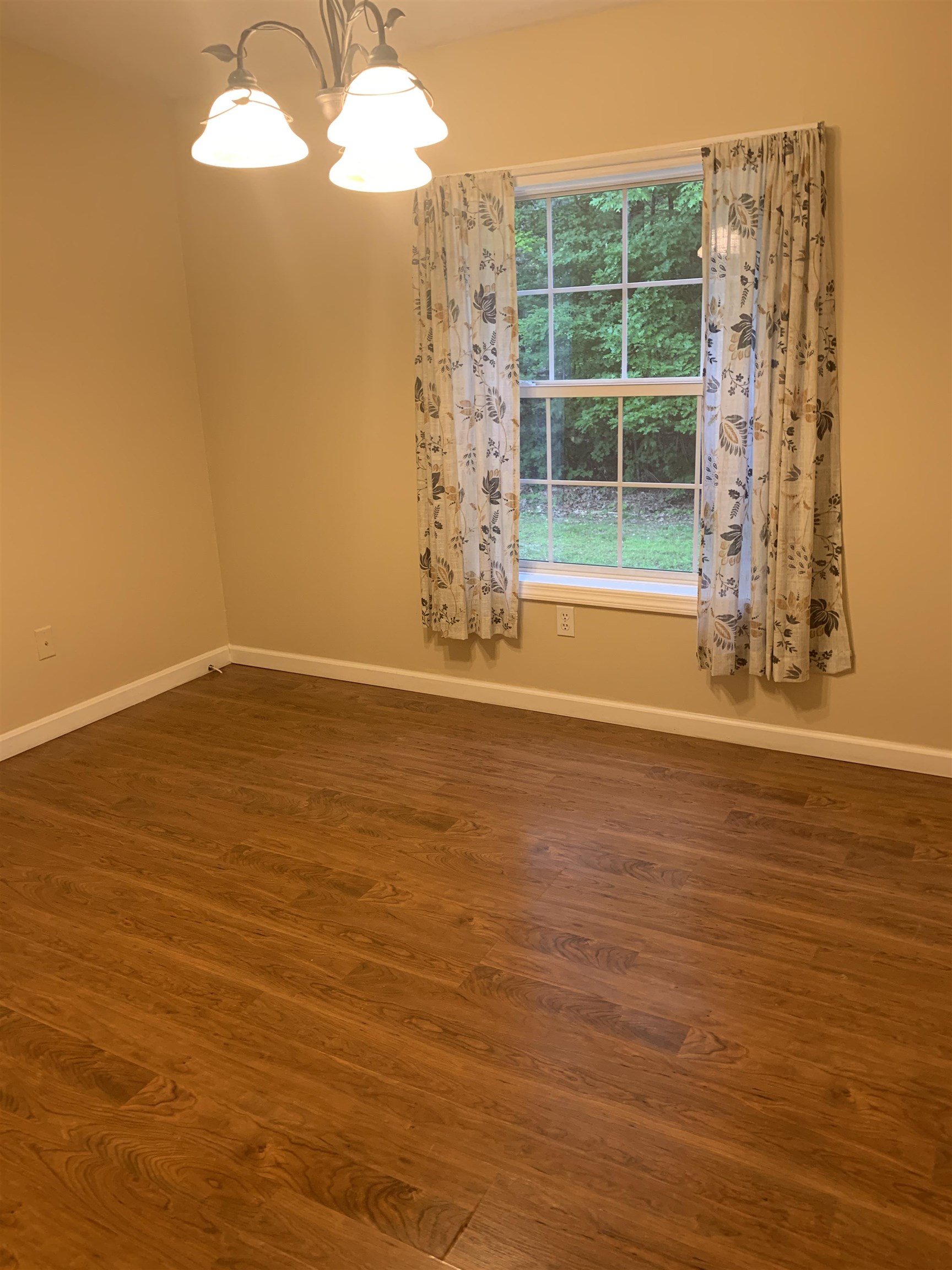 31 Bog Road Hillsborough, NH 03244 - Photo 12 of 22 Gallery Image 12