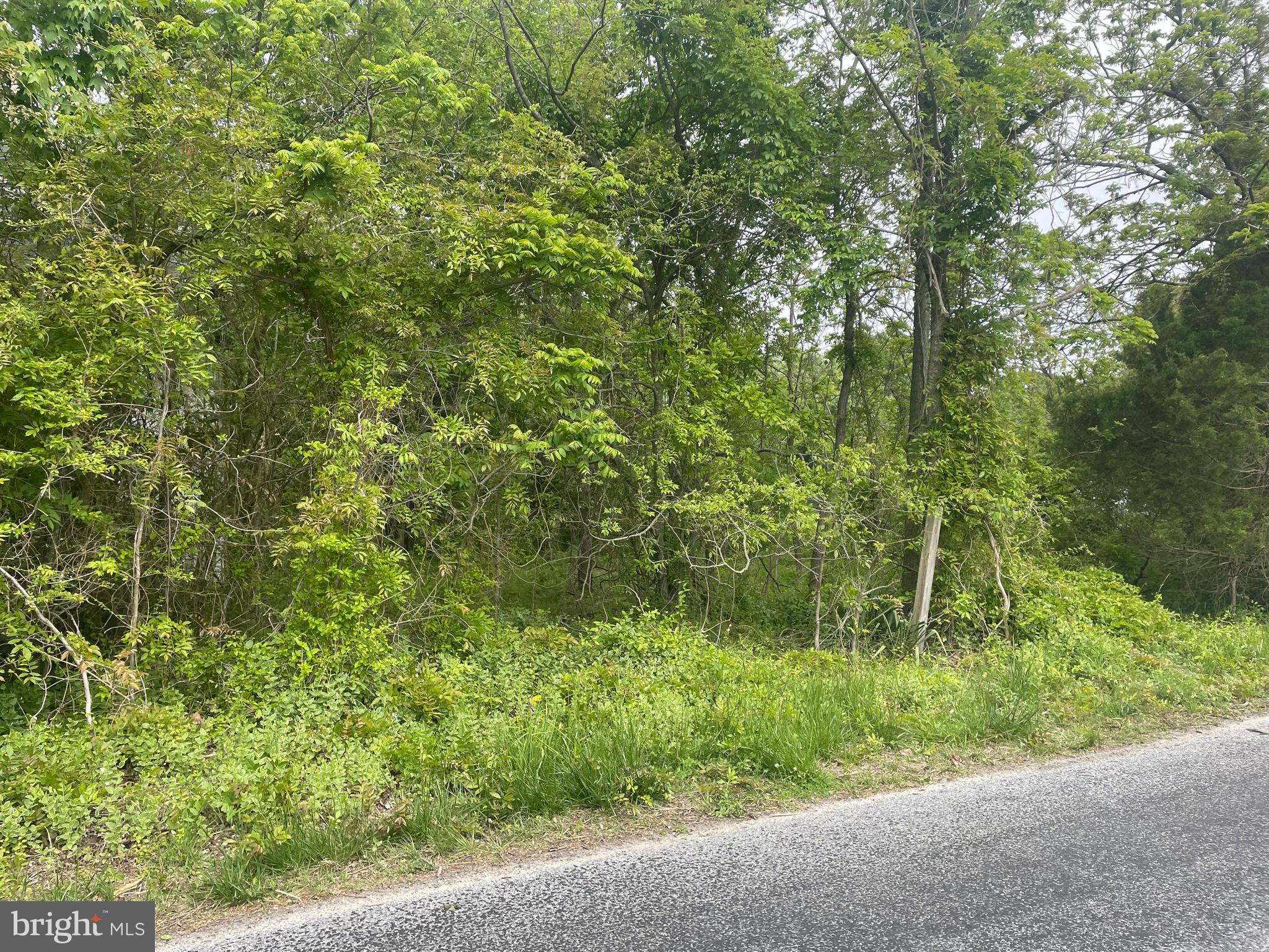 3953 Texas Road Bivalve, MD 21814 - Photo 4 of 4