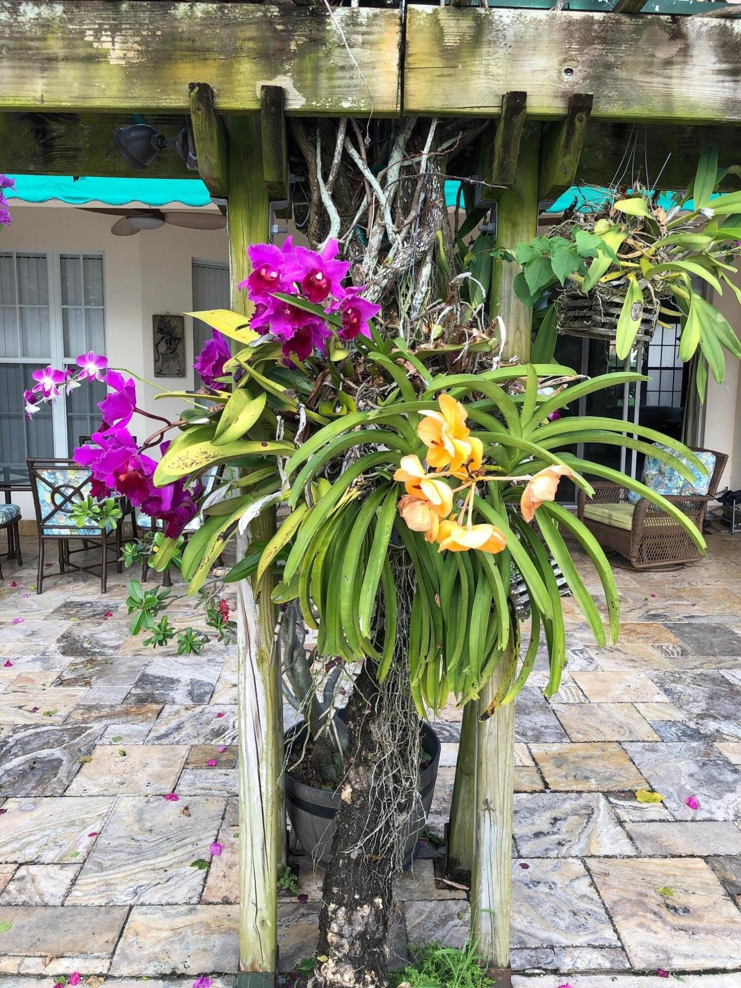 7647 Red River Road West Palm Beach, FL 33411 - Photo 84 of 95 EXOTIC FLOWERS