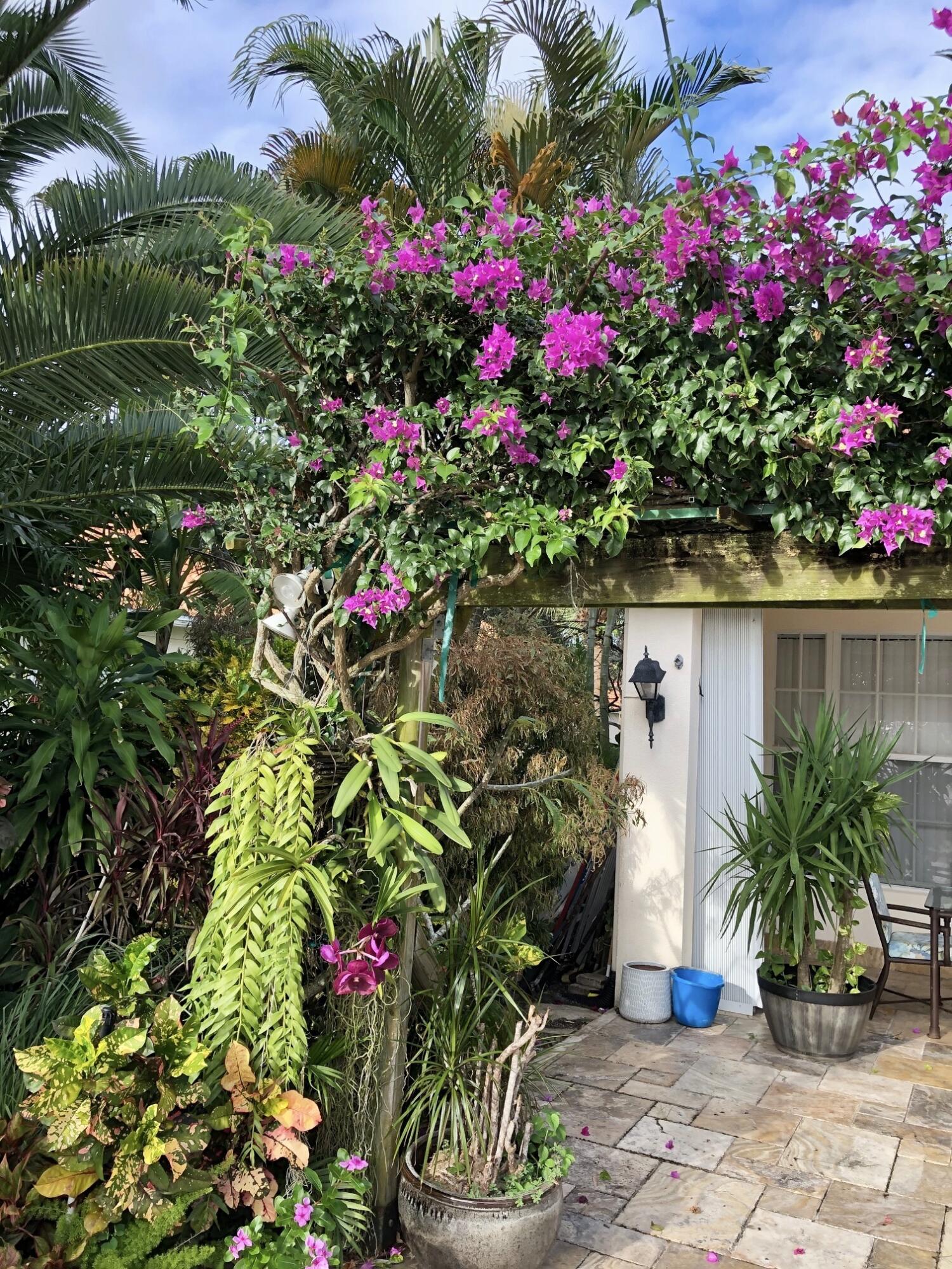 7647 Red River Road West Palm Beach, FL 33411 - Photo 87 of 95 EXOTIC FLOWERS