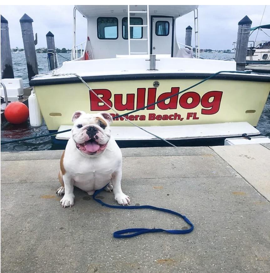 7647 Red River Road West Palm Beach, FL 33411 - Photo 93 of 95 FISHING CHARTERS