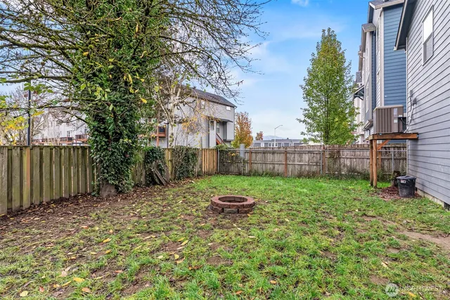a small garden covered with tall trees