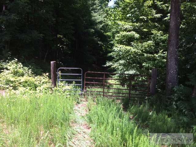Lot 8-9 Lost Ridge Road Boone, NC 28607 - Photo 5 of 14 Gallery Image 5