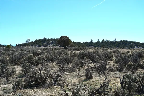 $30,000 | 0 Pajarito Drive, Tierra Amarilla, NM 87575
