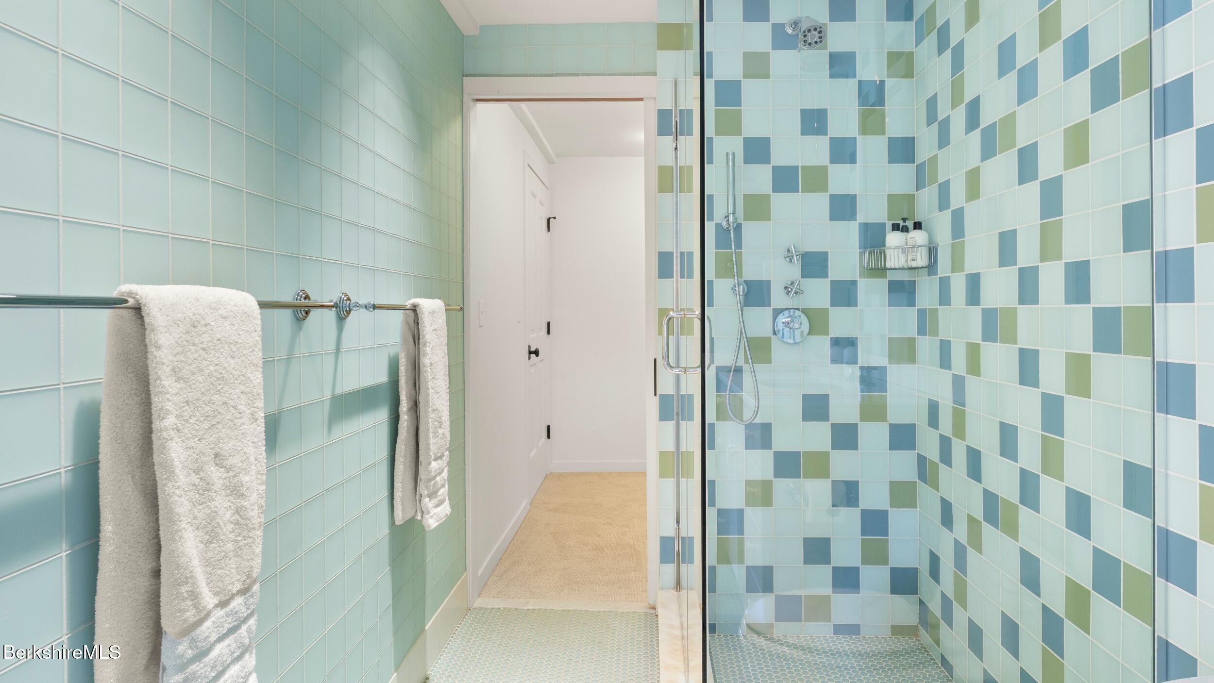 89 North Undermountain Road Egremont, MA 01230 - Photo 45 of 57 WITH WALKTHROUGH TO WALK-IN CLOSET