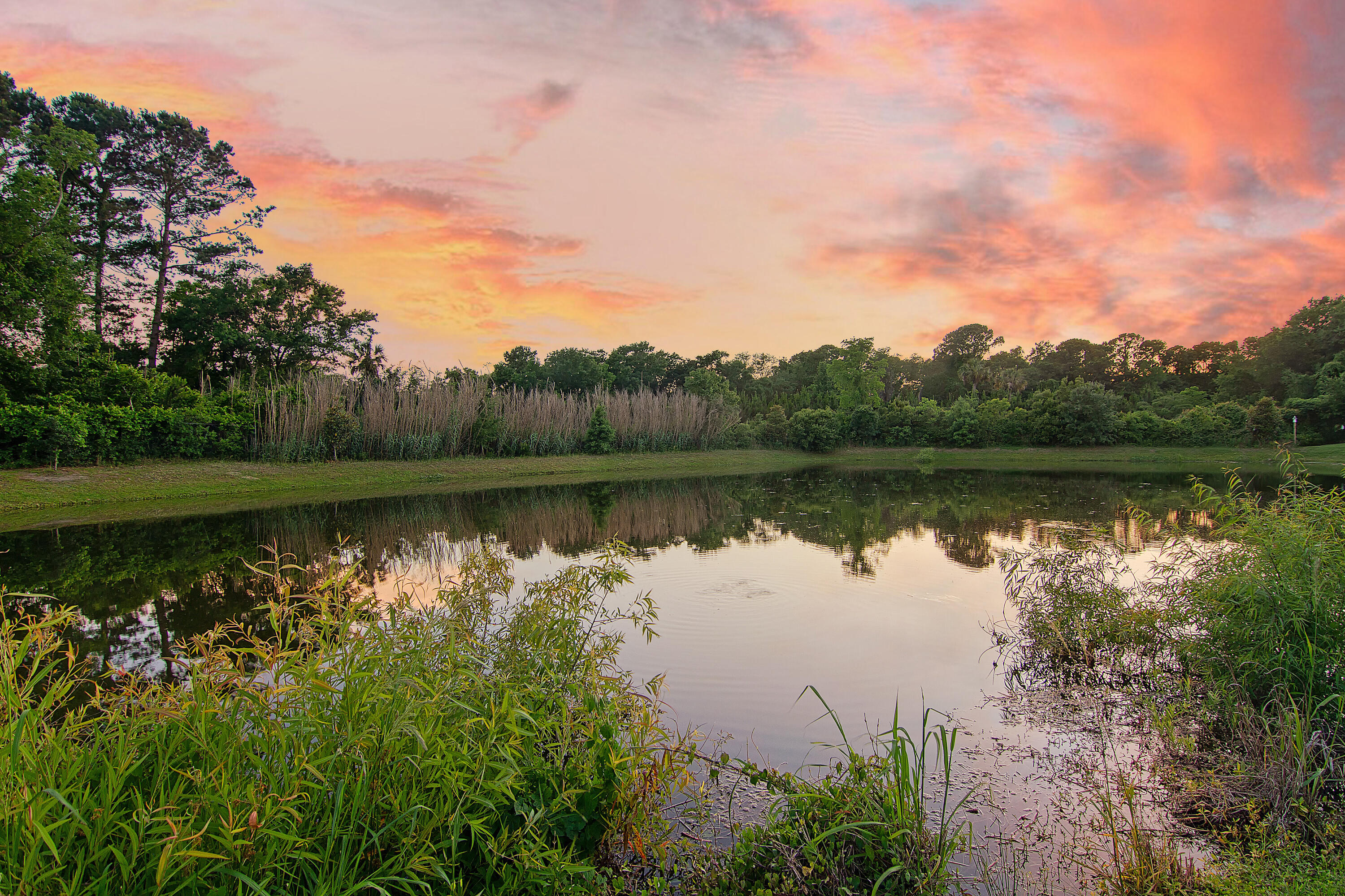 1435 Rivers Cotton Road Charleston, SC 29412 - Photo 6 of 59 CREM_1435 Rivers Cotton Road Twilight_00