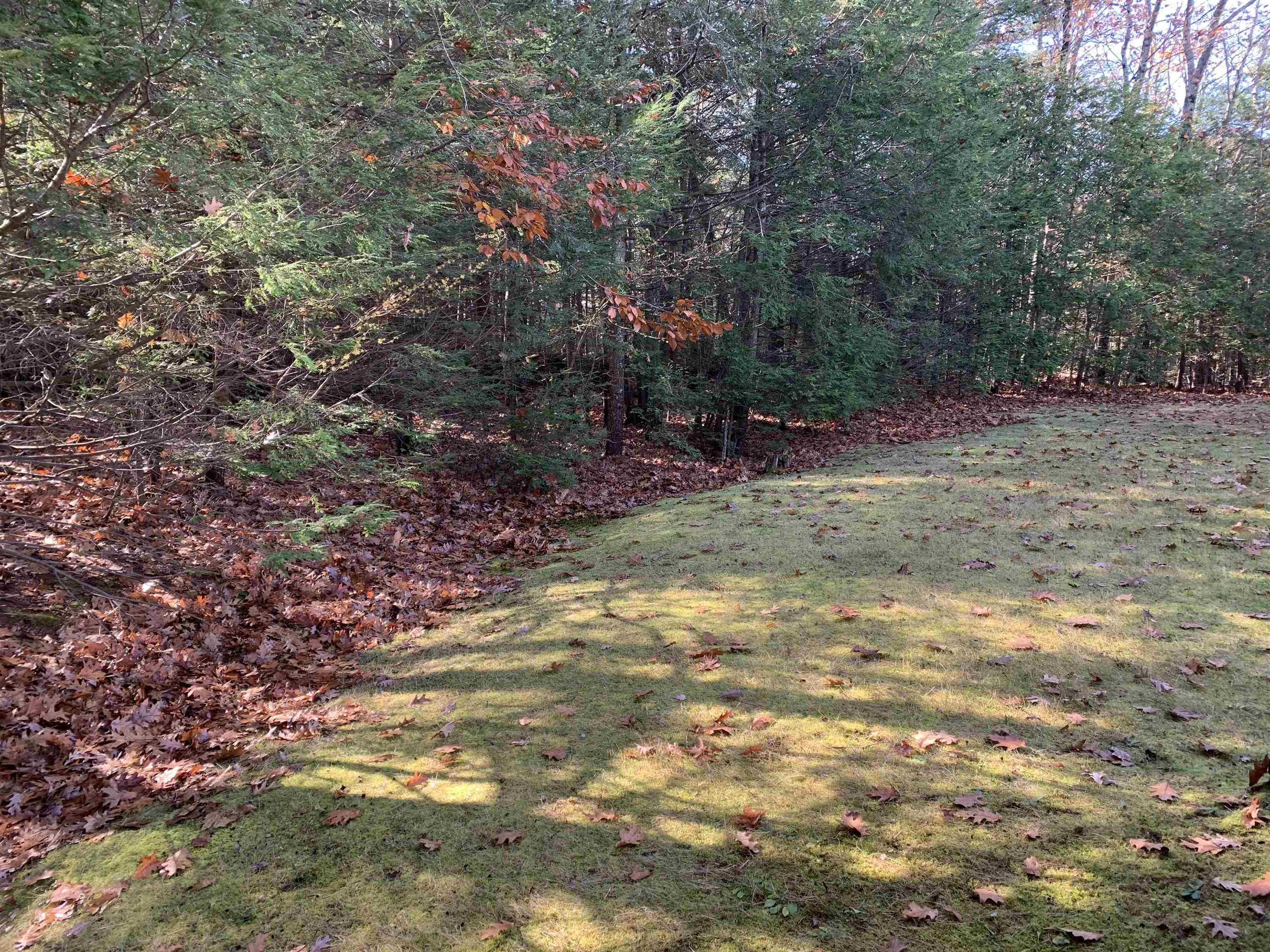 1 Brooklyn's Way Hampstead, NH 03841 - Photo 27 of 29