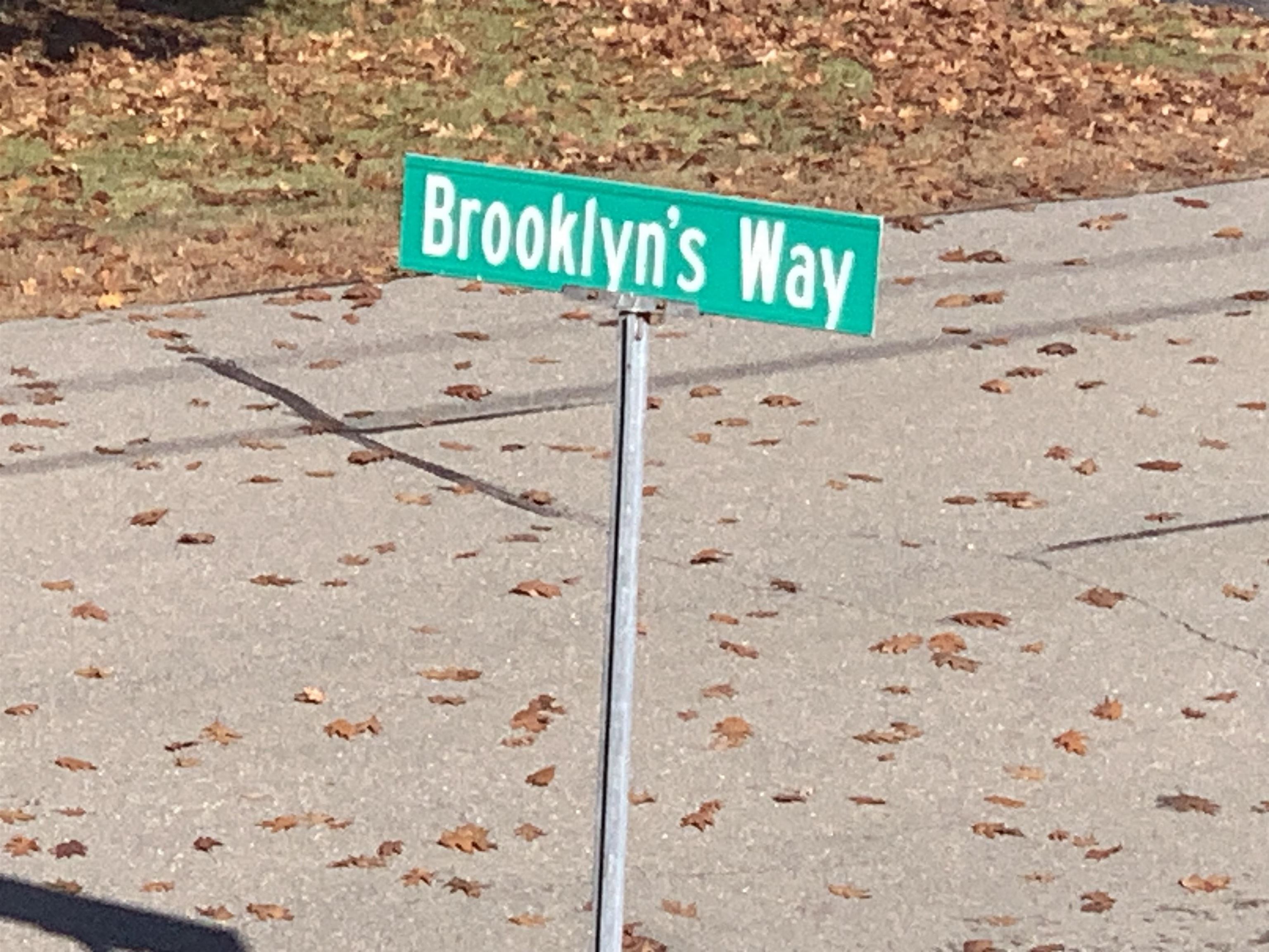 1 Brooklyn's Way Hampstead, NH 03841 - Photo 28 of 29