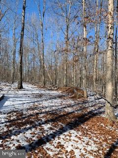 Hill Road Gordonsville, VA 22942 - Photo 2 of 5