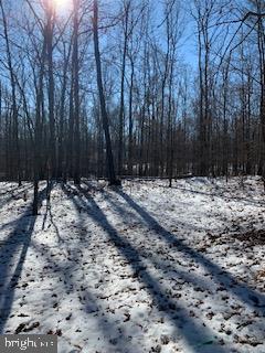 Hill Road Gordonsville, VA 22942 - Photo 3 of 5