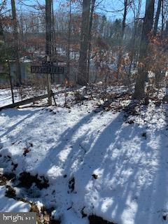 Hill Road Gordonsville, VA 22942 - Photo 4 of 5
