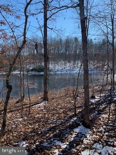 Hill Road Gordonsville, VA 22942 - Photo 5 of 5