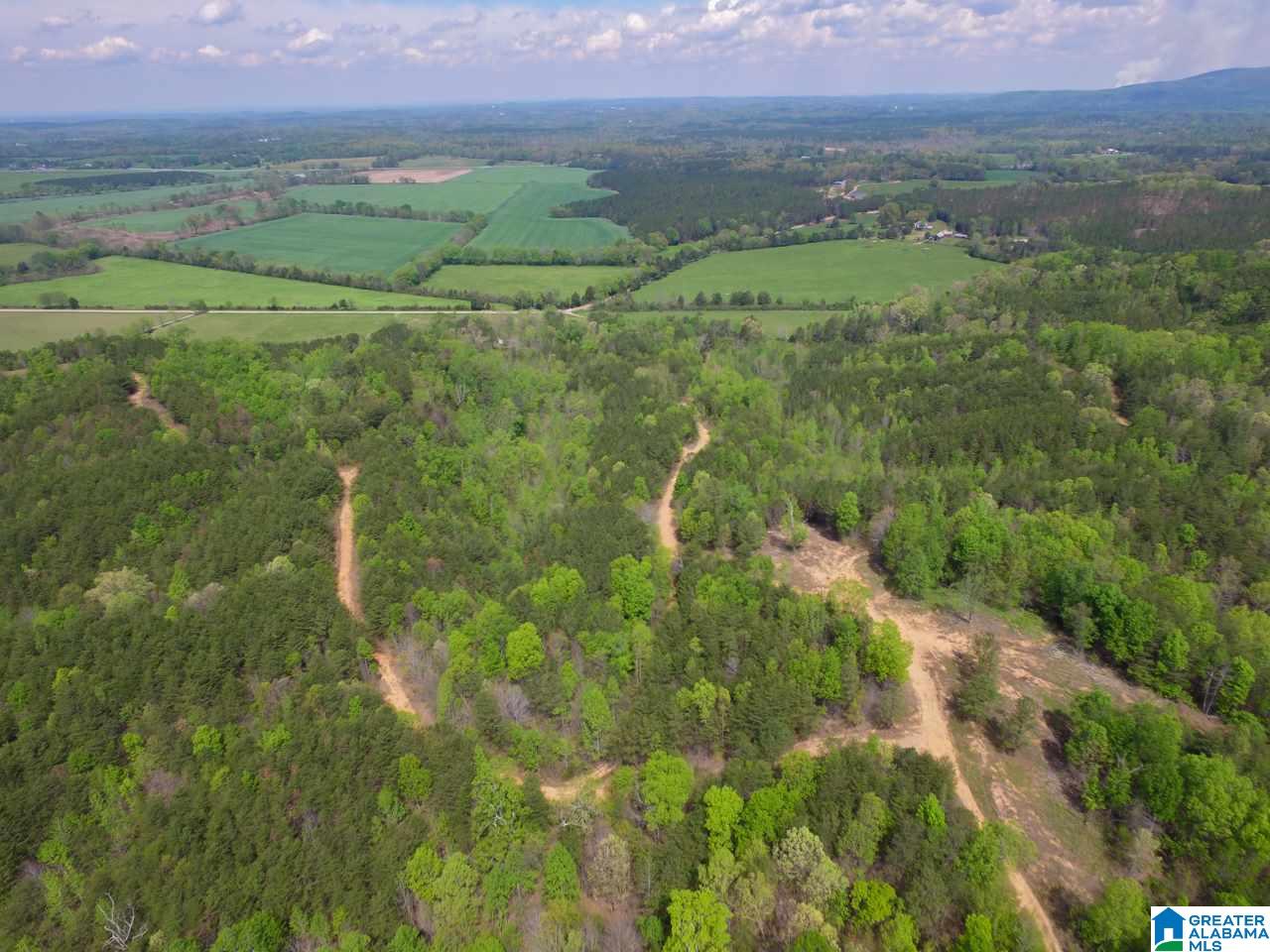 0 Henderson Lake Road, Unit 128 Munford, AL 36268 - Photo 27 of 31