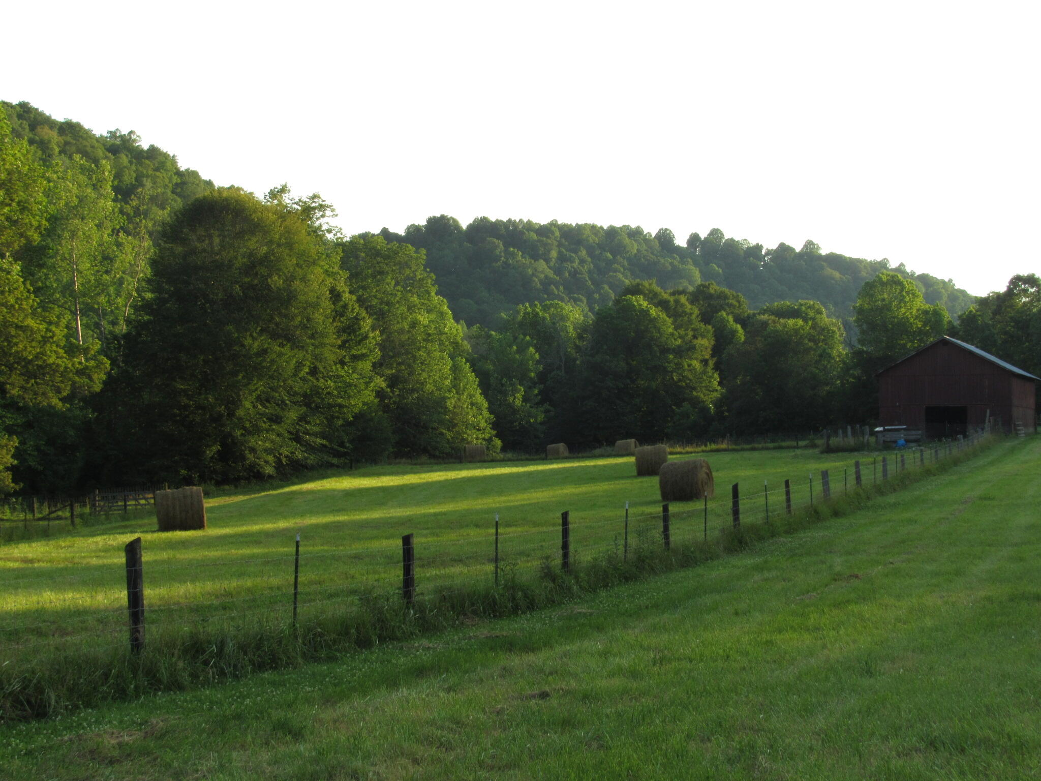 2875 Pointer Creek Road Science Hill, KY 42553 - Photo 6 of 81 001a IMG_1449